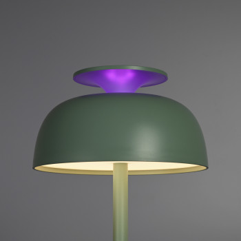 Night lamp with White Noise sound, rechargeable, dimmable 8.5W 150Lm 4000K+RGB LiFePO4 1800mAh VIDEX VL-TF23G | light green – Built-in 10 soothing melodies for peaceful sleep